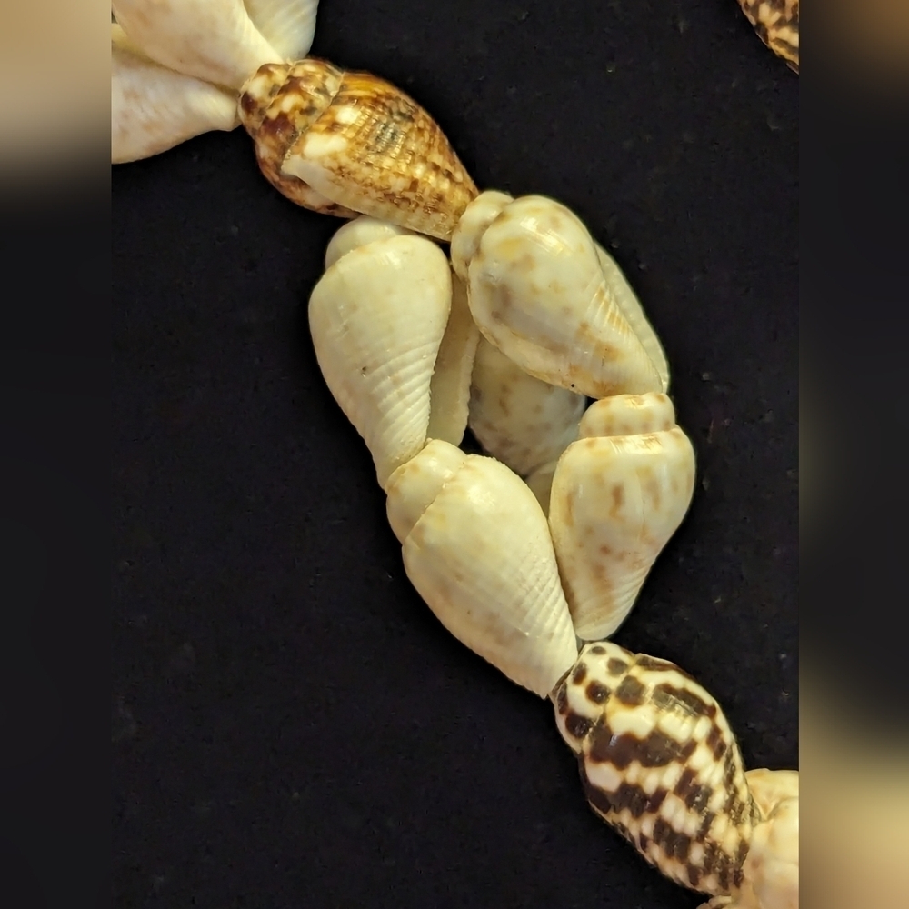🐚 Necklace brown white 16" long. No clasp, can be doubled. Shells Surfing Beach - Picture 3 of 5
